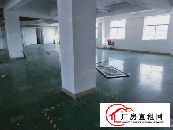  布吉丹竹头新出一楼二楼2000平标准厂房出租大小可分租