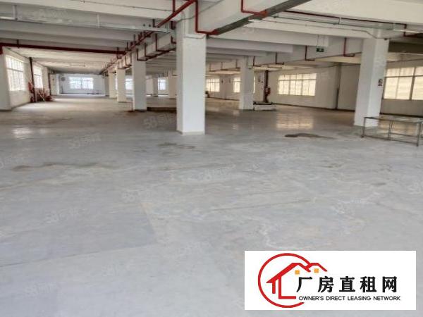  布吉丹竹头新出一楼二楼2000平标准厂房出租大小可分租