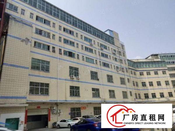  布吉丹竹头新出一楼二楼2000平标准厂房出租大小可分租