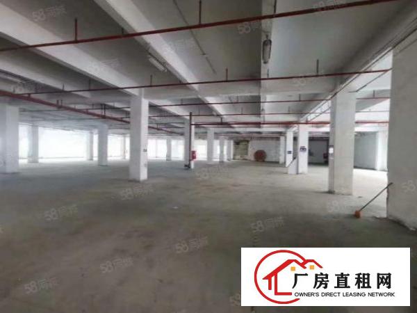  布吉木棉湾工业园区厂房1200平分租，配套齐全，交