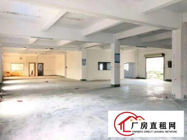  布吉木棉湾工业园区厂房1200平分租，配套齐全，交