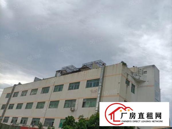  李朗甘坑村委3200平方厂房出租