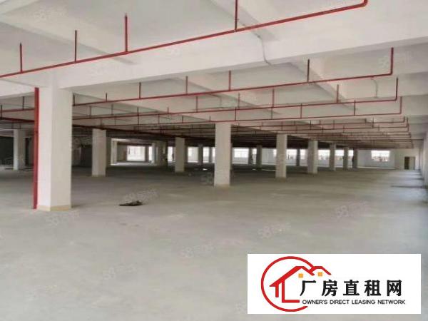  百鸽笼地铁口厂房仓库1500平方米出粗可分