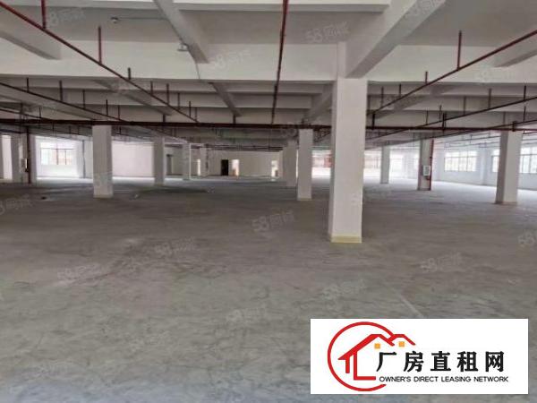  百鸽笼地铁口厂房仓库1500平方米出粗可分