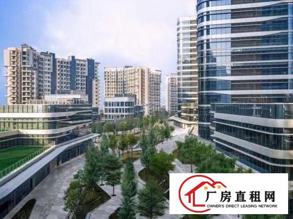  深圳布吉全新写字楼2000平方大小分租
