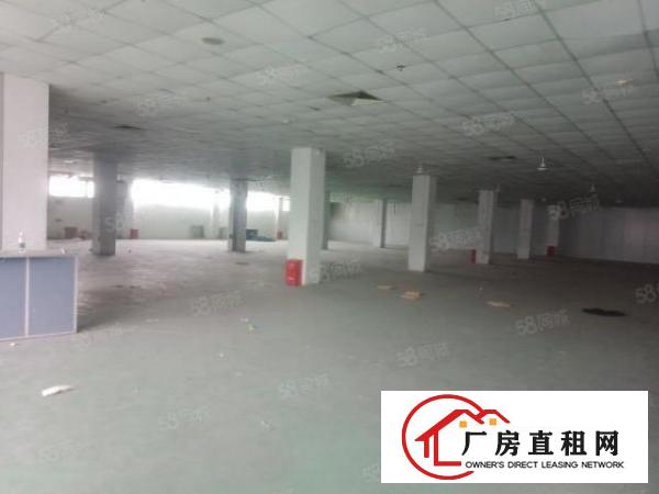  布吉兴展科技园12000平方厂房出租