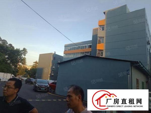  布吉兴展科技园12000平方厂房出租