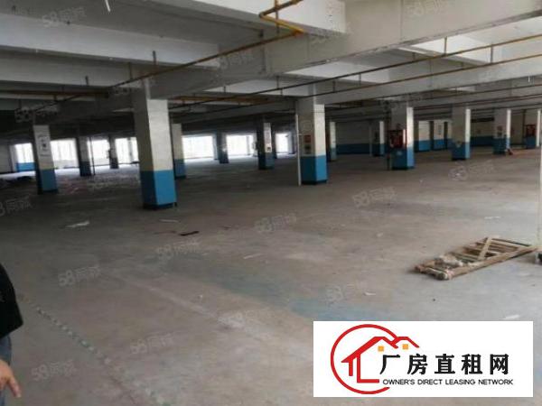  物业直租布吉李朗工业城楼上1080,1580平米厂