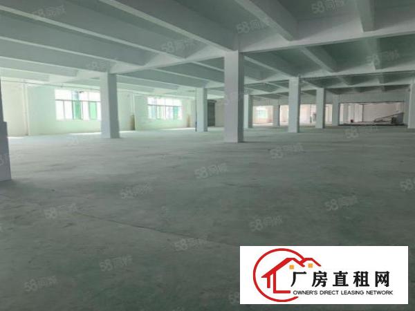 布吉地铁站原房东厂房1至5楼单层面积1000平大小