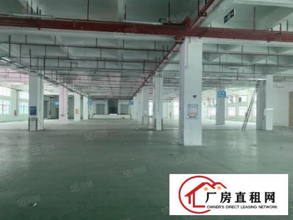 布吉地铁站原房东厂房1至5楼单层面积1000平大小