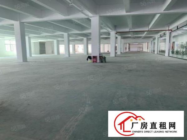  布吉地铁站原房东厂房1至5楼单层面积1000平大小