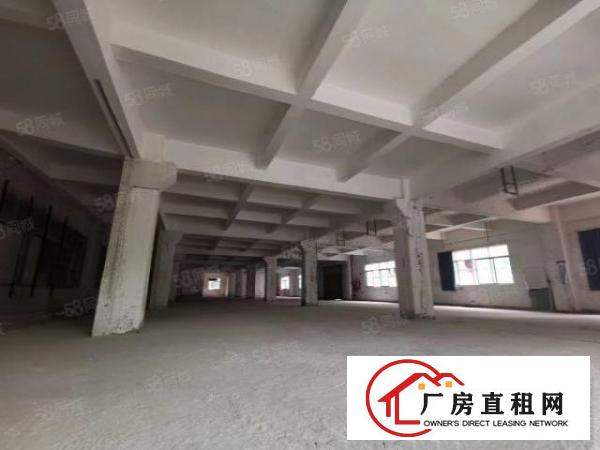  布吉上水径地铁口附近原房东两层独栋4000平方厂房出租可分租
