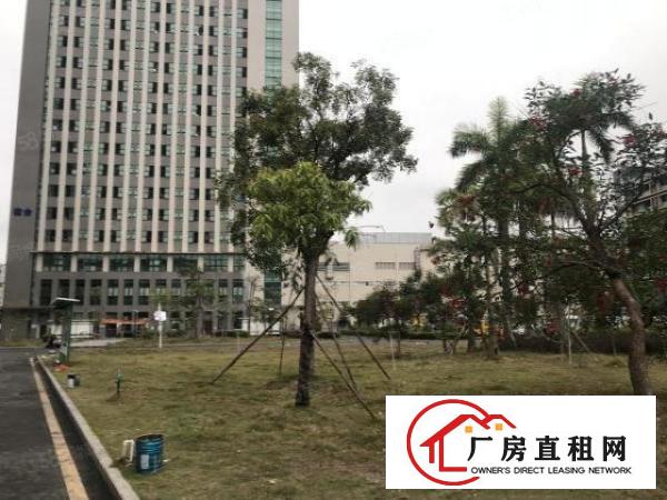  布吉丹竹头地铁站附近860平米精装修办公室出租