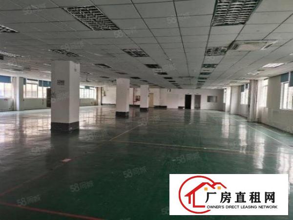  布吉丹竹头高新园区新出全新厂房出租，齐全可申请补贴