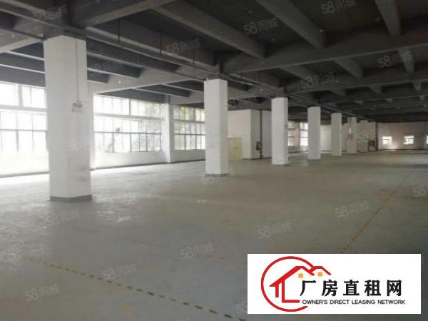  布吉丹竹头高新园区新出全新厂房出租，齐全可申请补贴