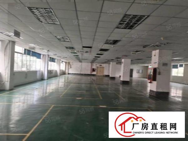  布吉丹竹头高新园区新出全新厂房出租，齐全可申请补贴