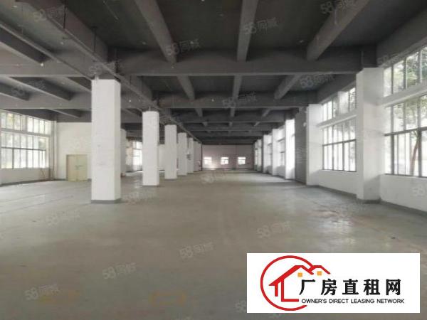  布吉丹竹头高新园区新出全新厂房出租，齐全可申请补贴