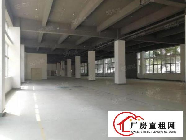  布吉丹竹头高新园区新出全新厂房出租，齐全可申请补贴
