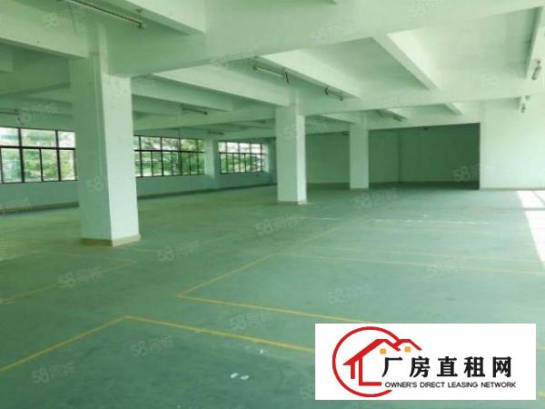  布吉丹竹头高新园区新出全新厂房出租，齐全可申请补贴