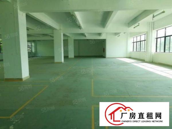  布吉丹竹头高新园区新出全新厂房出租，齐全可申请补贴