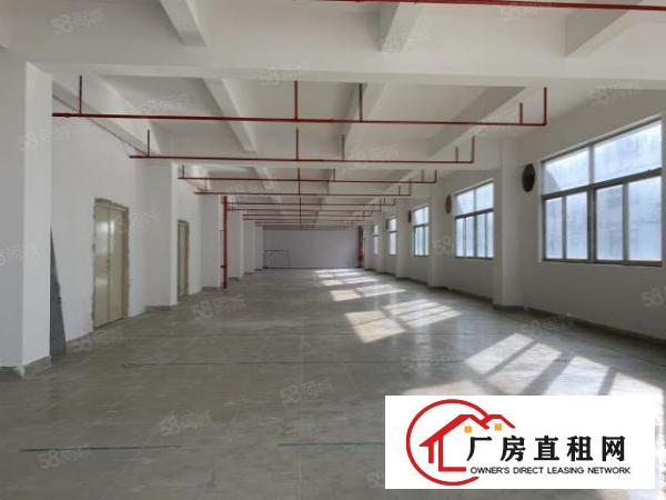  190平米电商，办公室，厂房，仓库，珠宝厂招租
