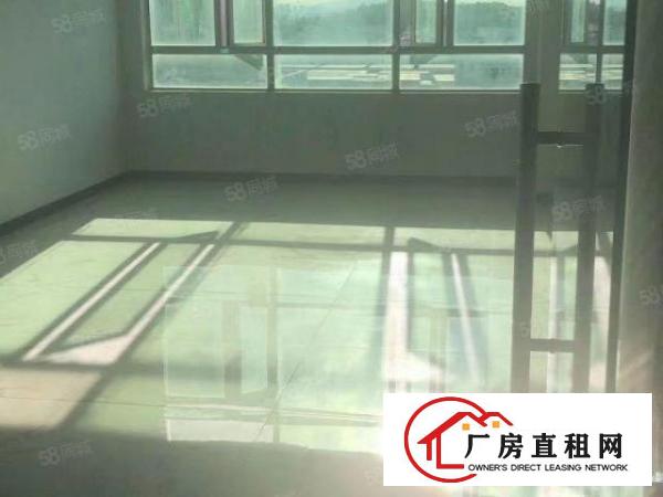  布吉李朗新出楼上1000平精装修办公室厂房出租大小可分租