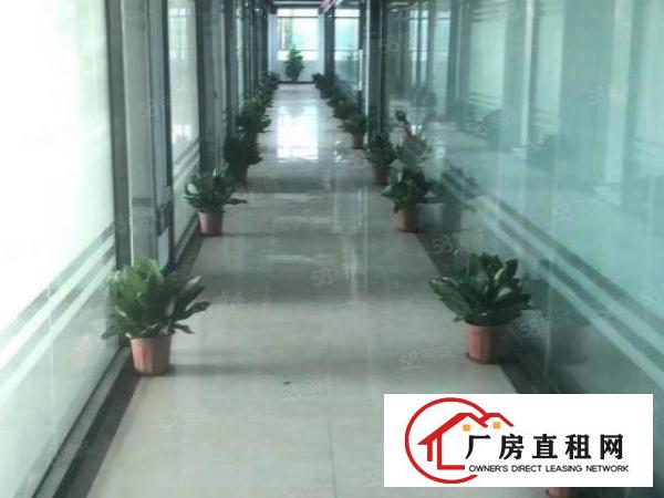  布吉李朗新出楼上1000平精装修办公室厂房出租大小可分租
