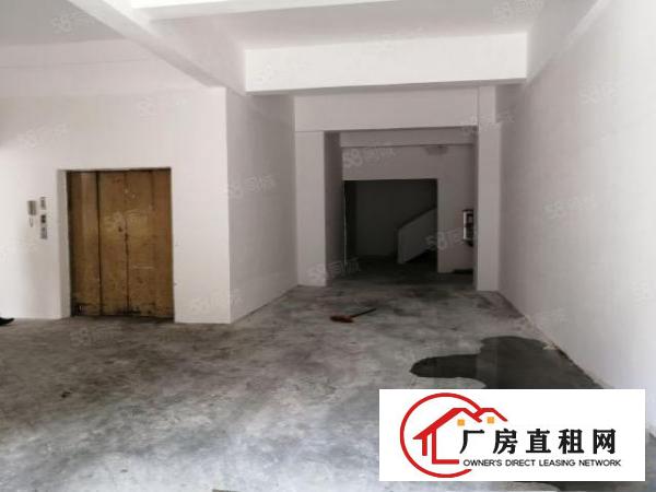  布吉秀峰工业园1600平一楼厂房出租园区空地大可进大车
