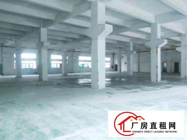  大芬3200平方厂房出租