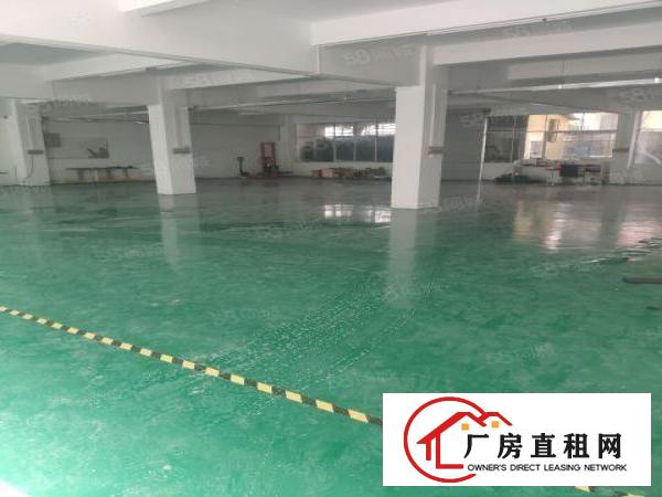  平湖富民工业区一楼仓库，厂房600平米水电齐全出租急租