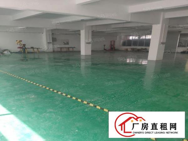  平湖富民工业区一楼仓库，厂房600平米水电齐全出租急租