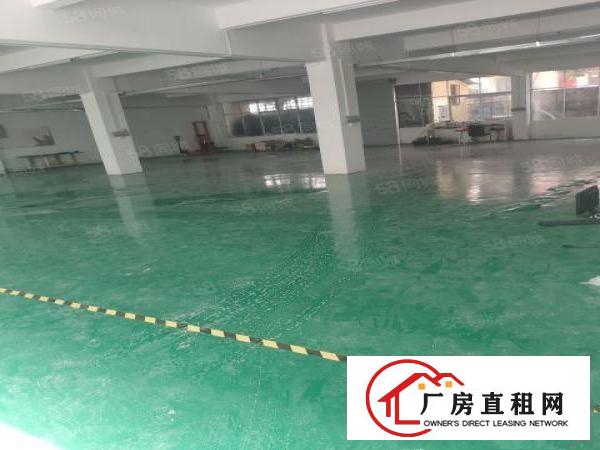  平湖富民工业区一楼仓库，厂房600平米水电齐全出租急租