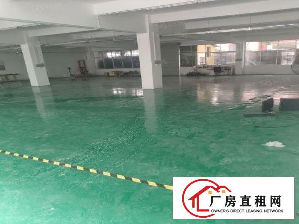  平湖富民工业区一楼仓库，厂房600平米水电齐全出租急租