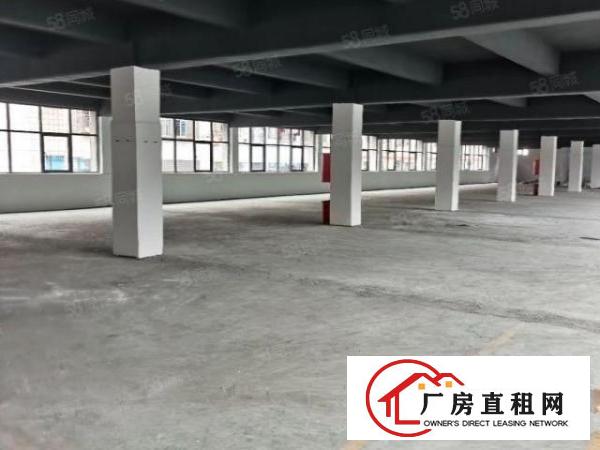  包隔墙布吉南岭电商办公78平起租单层1500平
