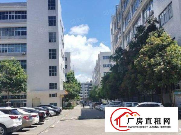  布吉李朗原房东红本2000平电商办公仓库，25全包