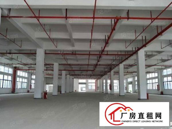  布吉李朗原房东红本2000平电商办公仓库，25全包
