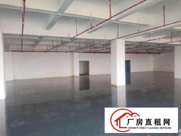  布吉李朗原房东红本2000平电商办公仓库，25全包