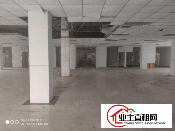  物流推荐龙岗丹竹头地铁口附近厂房出租仓库招租空地大交通便利