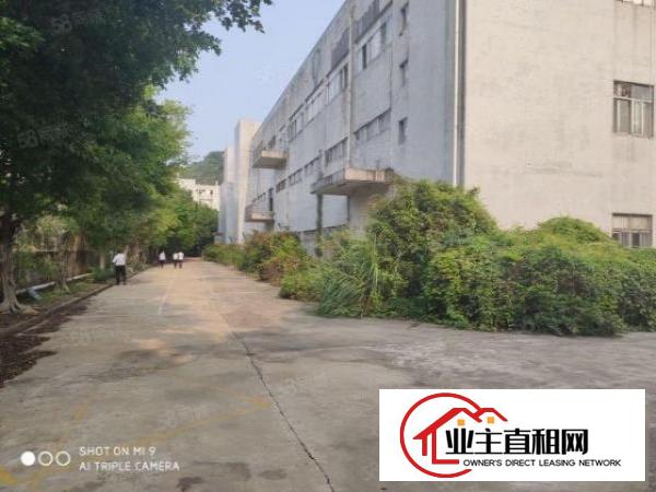  物流推荐龙岗丹竹头地铁口附近厂房出租仓库招租空地大交通便利