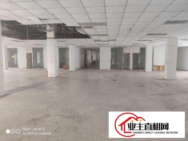  物流推荐龙岗丹竹头地铁口附近厂房出租仓库招租空地大交通便利