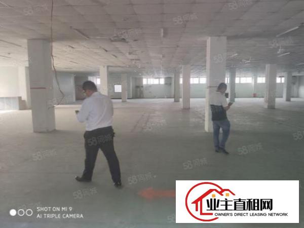  物流推荐龙岗丹竹头地铁口附近厂房出租仓库招租空地大交通便利