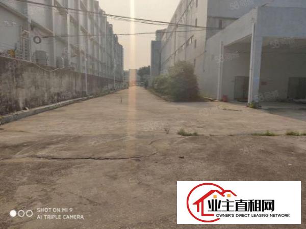  物流推荐龙岗丹竹头地铁口附近厂房出租仓库招租空地大交通便利