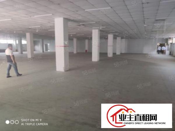  物流推荐龙岗丹竹头地铁口附近厂房出租仓库招租空地大交通便利