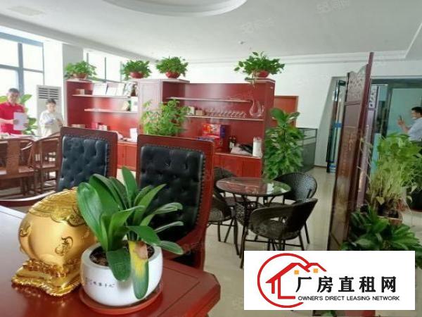  整层豪华装修，无尘车间，无转让费