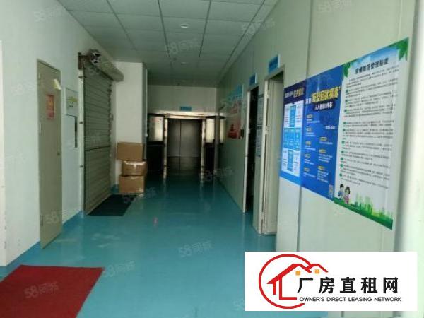  整层豪华装修，无尘车间，无转让费