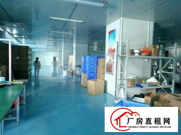  整层豪华装修，无尘车间，无转让费