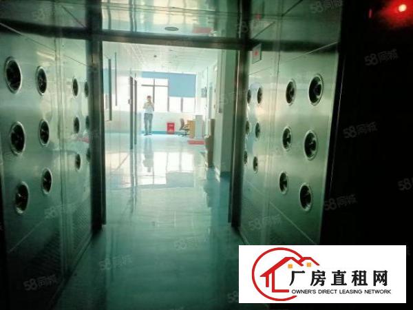  整层豪华装修，无尘车间，无转让费