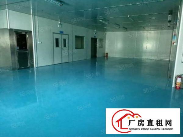  整层豪华装修，无尘车间，无转让费