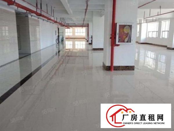 百鸽笼工业区新出厂房385平561平886平200