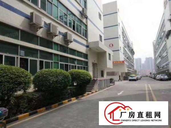  百鸽笼工业区新出厂房385平561平886平200